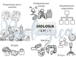 O CZYM BĘDĘ SIĘ UCZYŁ W TYM ROKU NA BIOLOGII? Obrazkowe karty na pierwszą lekcję dla klas 5-8.