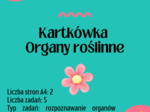 Biologia. Klasa 5. Organy roślinne - korzeń, łodyga, liść. Kartkówka. Karta odpowiedzi.