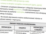 Dojrzewanie to czas wielkich zmian (uzupełniona karta pracy)