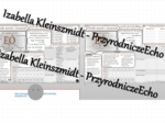Minizestaw na temat „Tlenki metali i niemetali” – sketchnotka + karta pracy w power point + gratisowy link do prezentacji multimedialnej niekomercyjnej wykonanej w genial.ly do indywidualnego pobrania i użycia do celów niekomercyjnych. Chemia 7, „Gazy i 