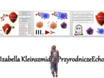 Materiał do zalaminowania/praca w grupach/puzzle/układanka. "Linie obrony - jak zdobywamy odporność?" „Budowa i funkcjonowanie układu odpornościowego” w pdf. Biologia 7, dział „Układ krążenia”.
