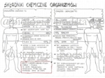 Klasa 5 - Składniki chemiczne organizmów - sketchnotka