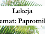 Paprotniki - klasa 5 - scenariusz lekcji