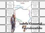 Notatka okienkowa/stacja zadaniowe/notatka/notatka graficzna/karta pracy/sketchnotka „Położenie i granice Polski”, „Sąsiedzi Polski”, „Skrajne punkty Europy i Polski” w pdf. Geografia 7, dział „Środowisko przyrodnicze Polski”. Materiał wykonany na podsta