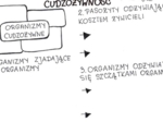 Cudzożywność (karta pracy)