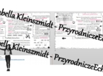 Minizestaw na temat „Zależności pokarmowe” – sketchnotka + karta pracy w power point + gratisowy link do prezentacji multimedialnej niekomercyjnej wykonanej w genial.ly do indywidualnego pobrania i użycia do celów niekomercyjnych. Biologia 8, „Ekologia”
