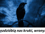 Rozdzióbią nas kruki, wrony... - analiza utworu S. Żeromskiego