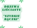Szybkie rączki - drzewa liściaste