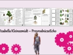 Minizestaw do tematu „Nagonasienne” – sketchnotka + karta pracy w pdf + gratisowy link do prezentacji multimedialnej niekomercyjnej wykonanej w genial.ly do indywidualnego pobrania i użycia do celów niekomercyjnych. Biologia 5, Dział „Różnorodność roślin