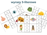 Wyrazy 3-literowe (małe litery) zabawa klamerkowa