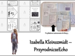 Przedmiotowe zasady oceniania (PZO) z biologii (klasa 5). Interaktywna notatka do wycinania, zginania i wypełniania przez ucznia.