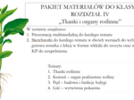 Pakiet materiałów do klasy 5 rozdział IV - Tkanki i organy roślinne