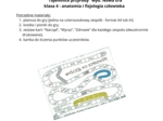 Gra planszowa - ciało człowieka - klasa 4