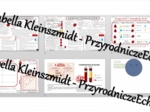 Minizestaw na temat „Budowa i funkcje krwi” – sketchnotka + karta pracy w power point + gratisowy link do prezentacji multimedialnej niekomercyjnej wykonanej w genial.ly do indywidualnego pobrania i użycia do celów niekomercyjnych. Biologia 7, „Układ krw