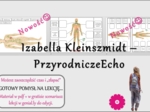 Pomysł na lekcję/karta pracy/stacje zadaniowe/materiał do lekcji do tematu „Układ limfatyczny” w pdf. W gratisie niekomercyjny scenariusz lekcji/pomysł na lekcję w programie genial.ly do edycji. Biologia 7. Dział „Układ krwionośny”.