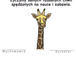 Dyplom pasowania na przedszkolaka - żyrafa