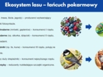 Prezentacja multimedialna. Różne ekosystemy (las, jezioro, góry). Zależności między organizmami