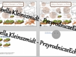 Minizestaw na temat „Góry w Europie i Polsce” – sketchnotka + karta pracy w power point + gratisowy link do prezentacji multimedialnej niekomercyjnej wykonanej w genial.ly do indywidualnego pobrania i użycia do celów niekomercyjnych. Geografia 7, „Środow