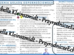 Sketchnotka - notatka „Zaburzenia funkcjonowanie układu odpornościowego” wykonana w power point do edycji. Biologia 7; „Układ krążenia”