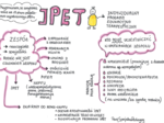 IPET. Wizualna karta informacyjna. Pedagog specjalny.