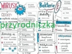 Klasa 5. Biologia. WIRUSY I BAKTERIE SKETCHNOTKA
