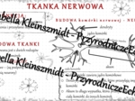 Sketchnotka - notatka „Tkanka nerwowa” wykonana w power point do edycji. Biologia 6; „Świat zwierząt”