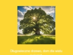 Memory ekologiczne. Zwierzęta, rośliny, działania proekologiczne
