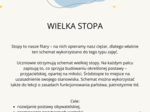 Wielka stopa - karty pracy
