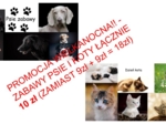 ?Wielkanocna promocja - Zabawy psie i kocie 10 zł
