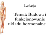 Klasa 7 - Budowa układu hormonalnego - prezentacja