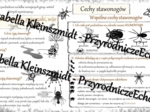 Sketchnotka - notatka „Cechy stawonogów” wykonana w power point do edycji. Biologia 6; „Stawonogi i mięczaki”