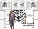 Notatka okienkowa/stacja zadaniowe/notatka interaktywna/notatka graficzna/karta pracy/sketchnotka „Budowa klatki piersiowej”, „Klatka piersiowa” w pdf. „Budowa szkieletu osiowego”. Biologia 7, dział „Aparat ruchu”. Materiał wykonany na podstawie podręczn
