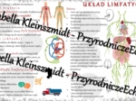 Sketchnotka - notatka „Układ limfatyczny” wykonana w power point do edycji. Biologia 7; „Układ krążenia”