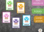 Karty obrazowe - kolory - grzybki