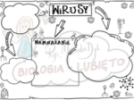 Klasa 5 Wirusy. Karta pracy.