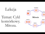Klasa 1 ( zakres rozszerzony) - Cykl komórkowy. Mitoza - prezentacja