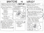 Klasa 5 - Bakterie i wirusy - pakiet