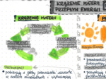 Krążenie materii i przepływ energii - EKOLOGIA - kolor