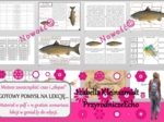 Karta pracy/stacje zadaniowe/ do tematu „Ryby-kręgowce środowisk wodnych – część I” w pdf. W gratisie niekomercyjny scenariusz lekcji/pomysł na lekcję w programie genial.ly do edycji. Biologia 6. Dział „Kręgowce zmiennocieplne”.