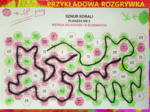 (klasa 4, klasa 5, klasa6) GRA Sznur korali (z tabliczką mnożenia)