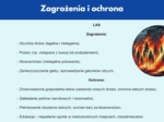 Prezentacja multimedialna. Różne ekosystemy (las, jezioro, góry). Zależności między organizmami