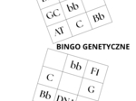 Rozgrzewka - bingo - genetyka