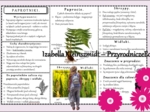 Sketchnotka/książeczka/notatka/wklejka/ściąga dla ucznia i przypomnienie dla nauczyciela/edukacja domowa. Temat „Paprotniki”. Materiał w pdf. Biologia 5, dział „Różnorodność roślin”. Nowość 2024/2025.