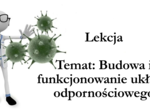 Klasa 7 - Budowa i funkcjonowanie układu odpornościowego - prezentacja