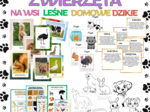 ZWIERZĘTA - NA WSI, W LESIE, DOMOWE, DZIKIE