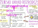 Klasa 7. Biologia. Żeński układ rozrodczy