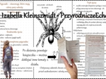 Broszurka/notatka/sketchnotka/wklejka/ściąga dla ucznia/przypomnienie dla nauczyciela w pdf. Biologia 6 „Stawonogi i mięczaki” – „Pajęczaki – stawonogi, które mają cztery pary odnóży”.
