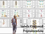 Notatka okienkowa/stacja zadaniowe/notatka/notatka graficzna/karta pracy/sketchnotka „Nośnik informacji genetycznej – DNA”, „Budowa DNA, replikacja, pojęcia” w pdf. Biologia 8 dział „Genetyka”. Materiał wykonany na podstawie podręcznika z wydawnictwa Now