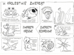 Klasa 6 - W królestwie zwierząt - sketchnotka