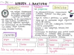 Wirusy i bakterie (sketchnotka)